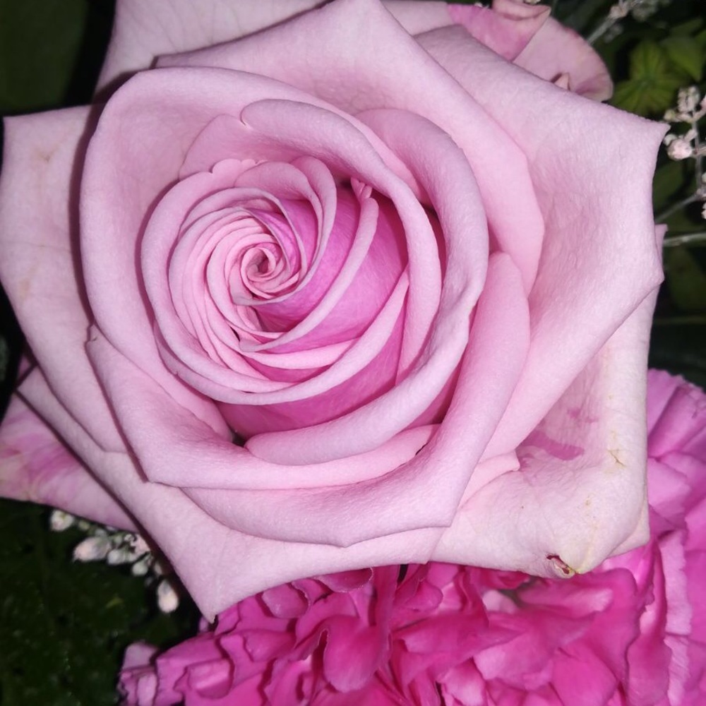 Meet your Posher, Agnete